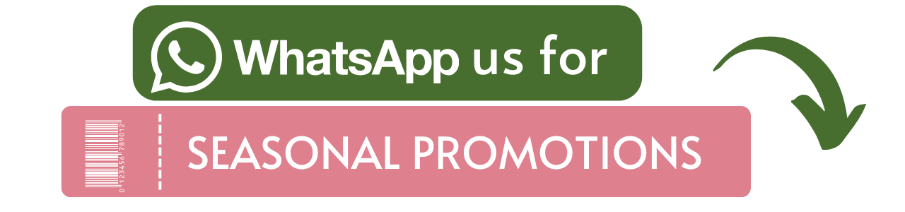 WhatsApp-Seasonal Promotions